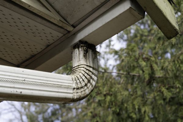 Roof Drain Replacement in Palm Coast