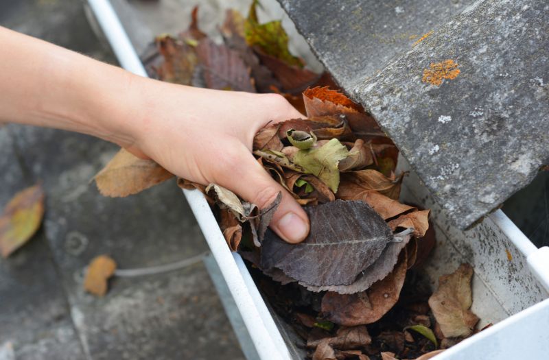 Gutter Cleaning Service